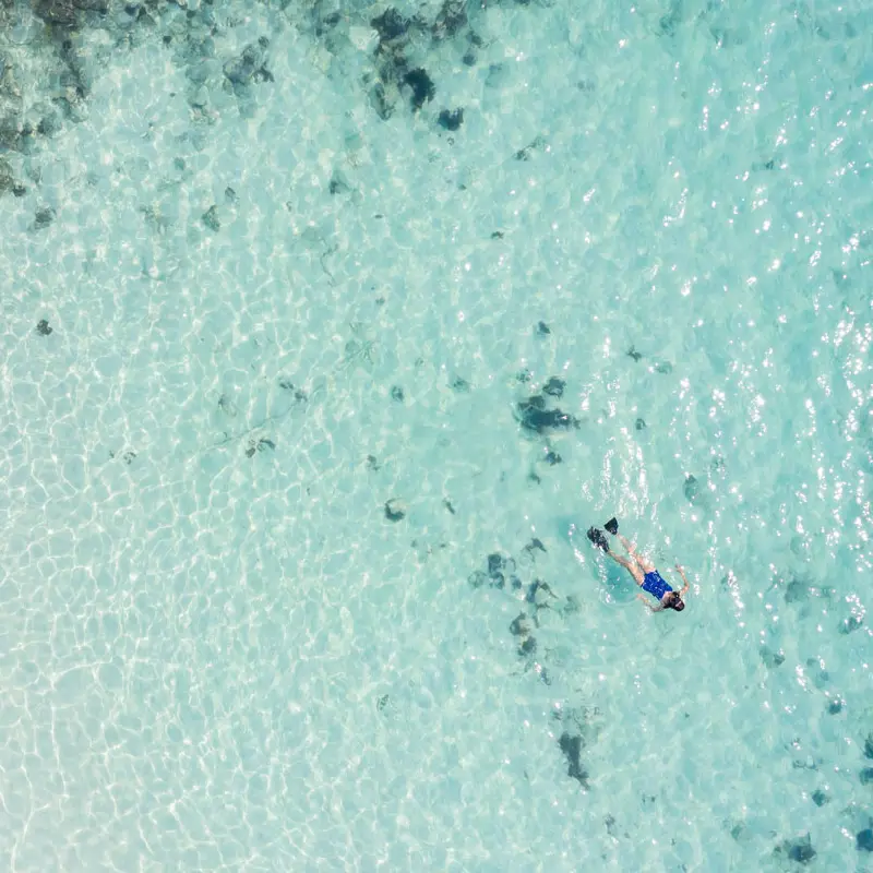 Paradee The Sixth Heaven assists you