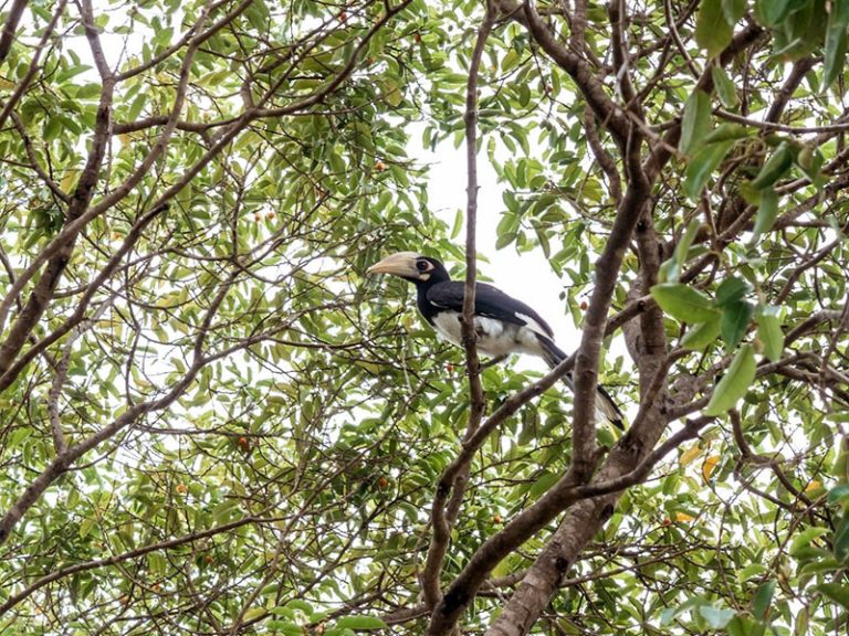 Thoughtful-Design-02